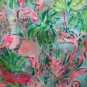 NWT Girl’s size 8 Lilly Pulitzer shift dress